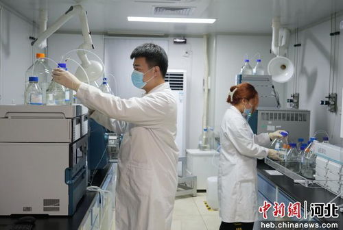 廊坊市積極引進京津創(chuàng)新資源，賦能生物醫(yī)藥研發(fā)產(chǎn)業(yè)高質(zhì)量發(fā)展